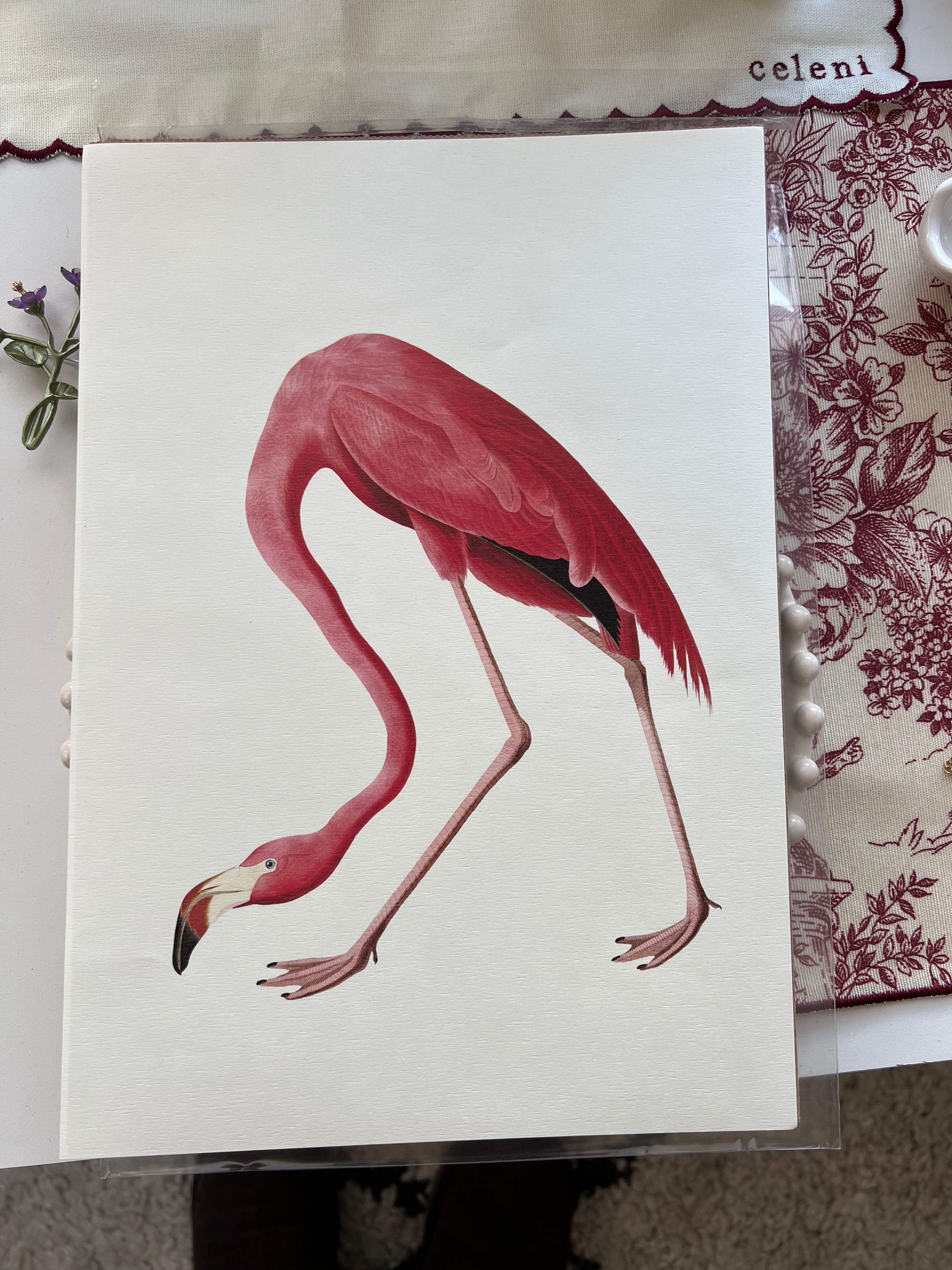 Vintage Botanical Prints A4