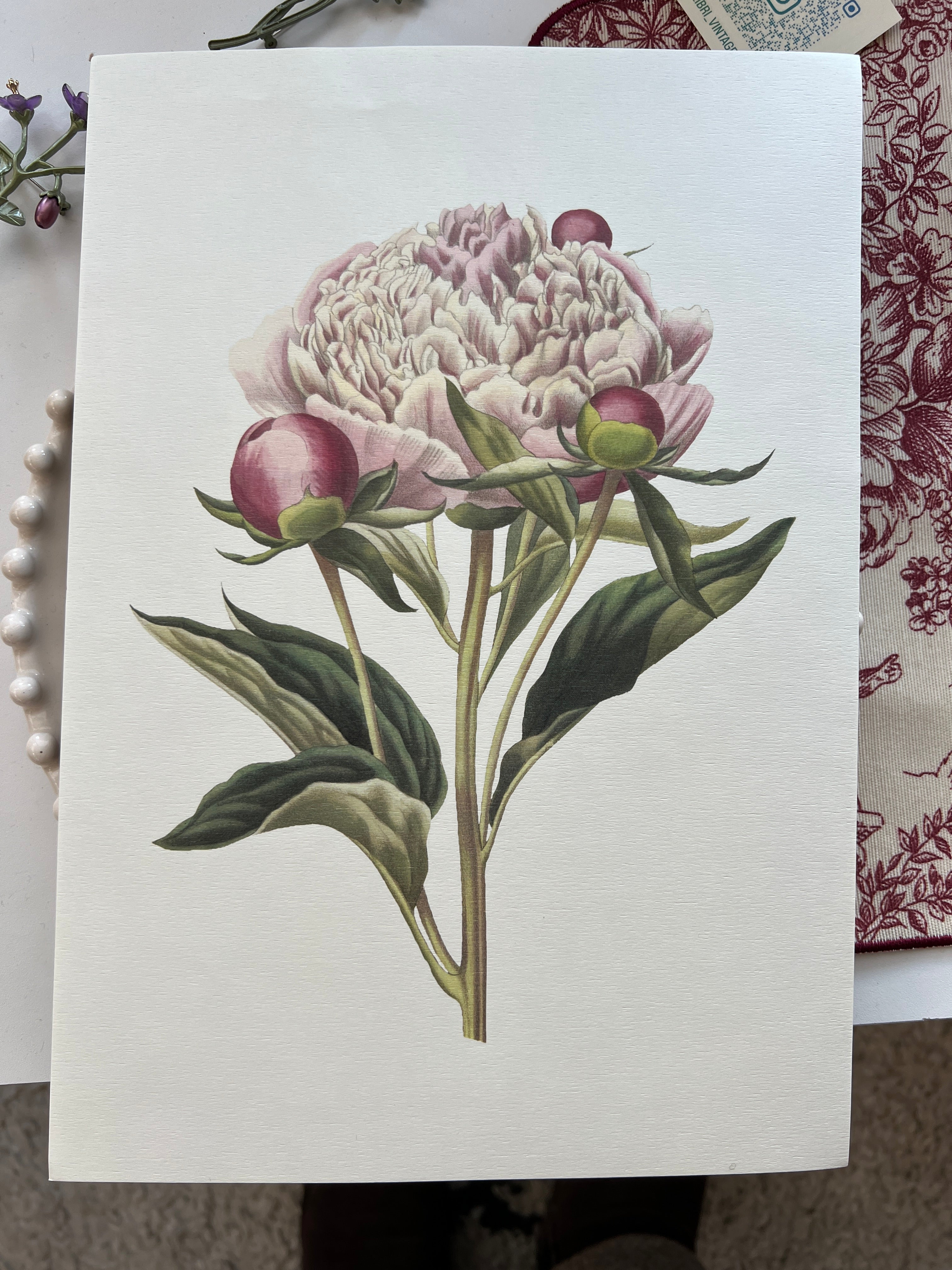 Vintage Botanical Prints A4