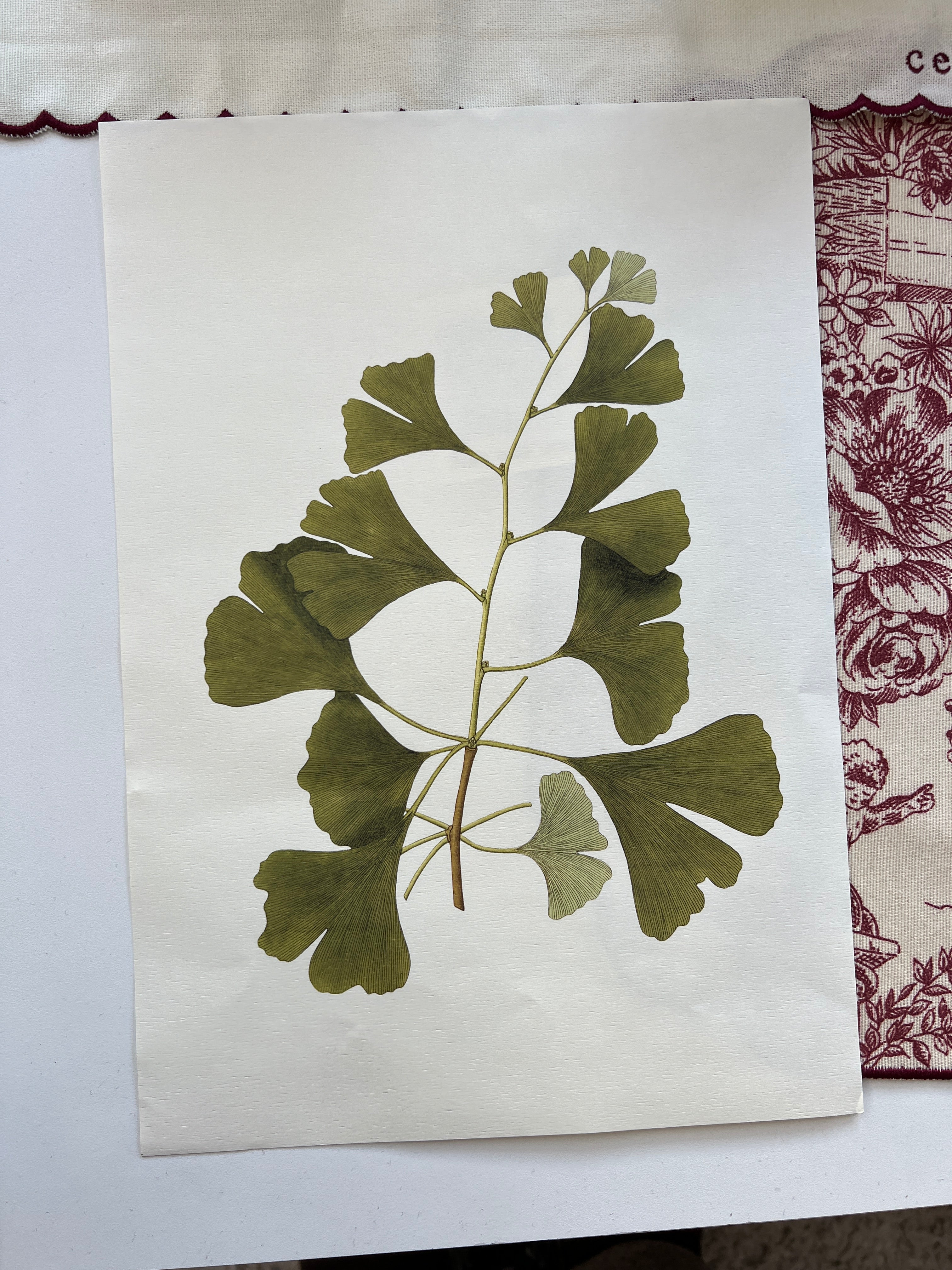 Vintage Botanical Small Prints