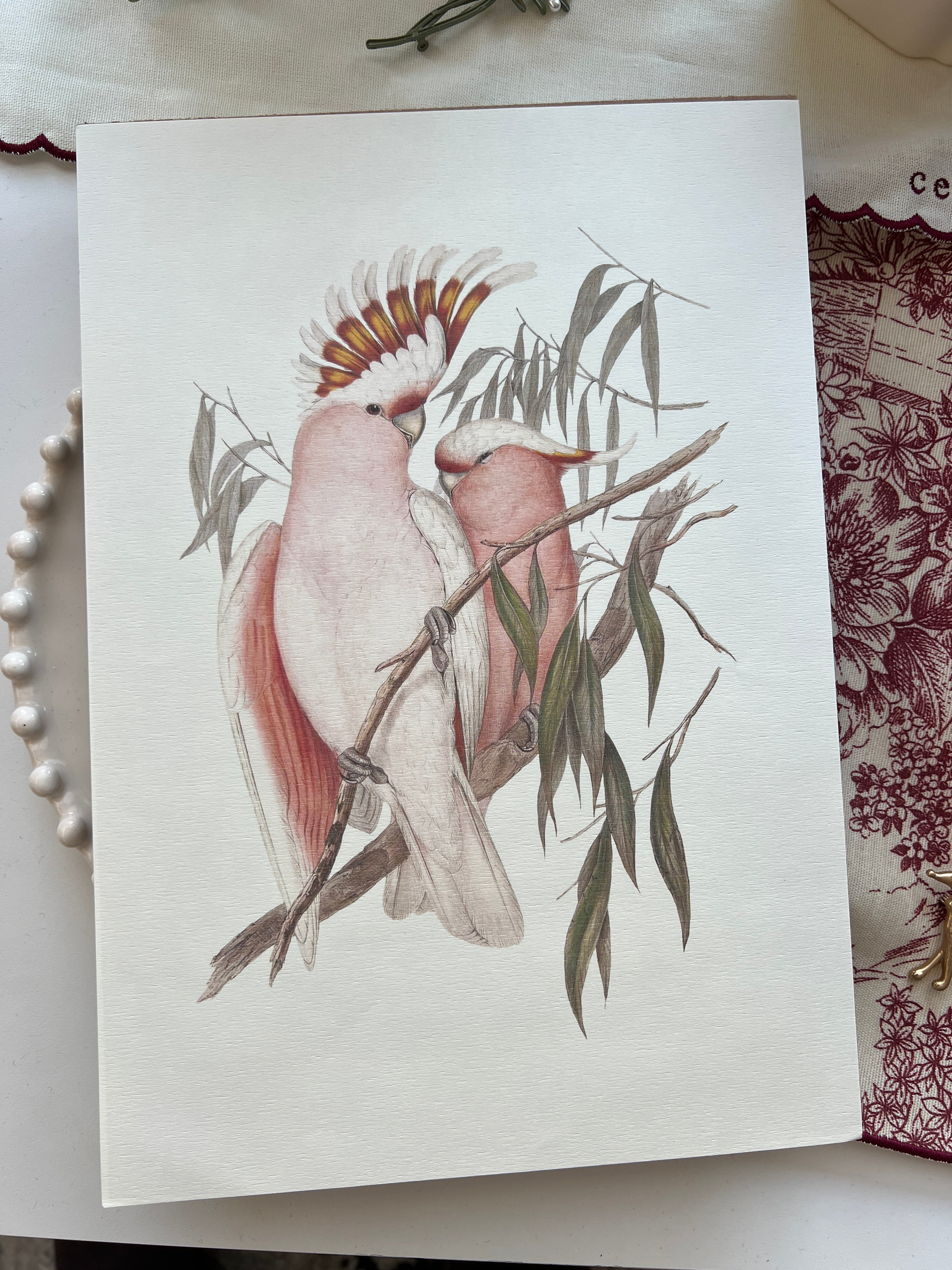 Vintage Botanical Prints A4