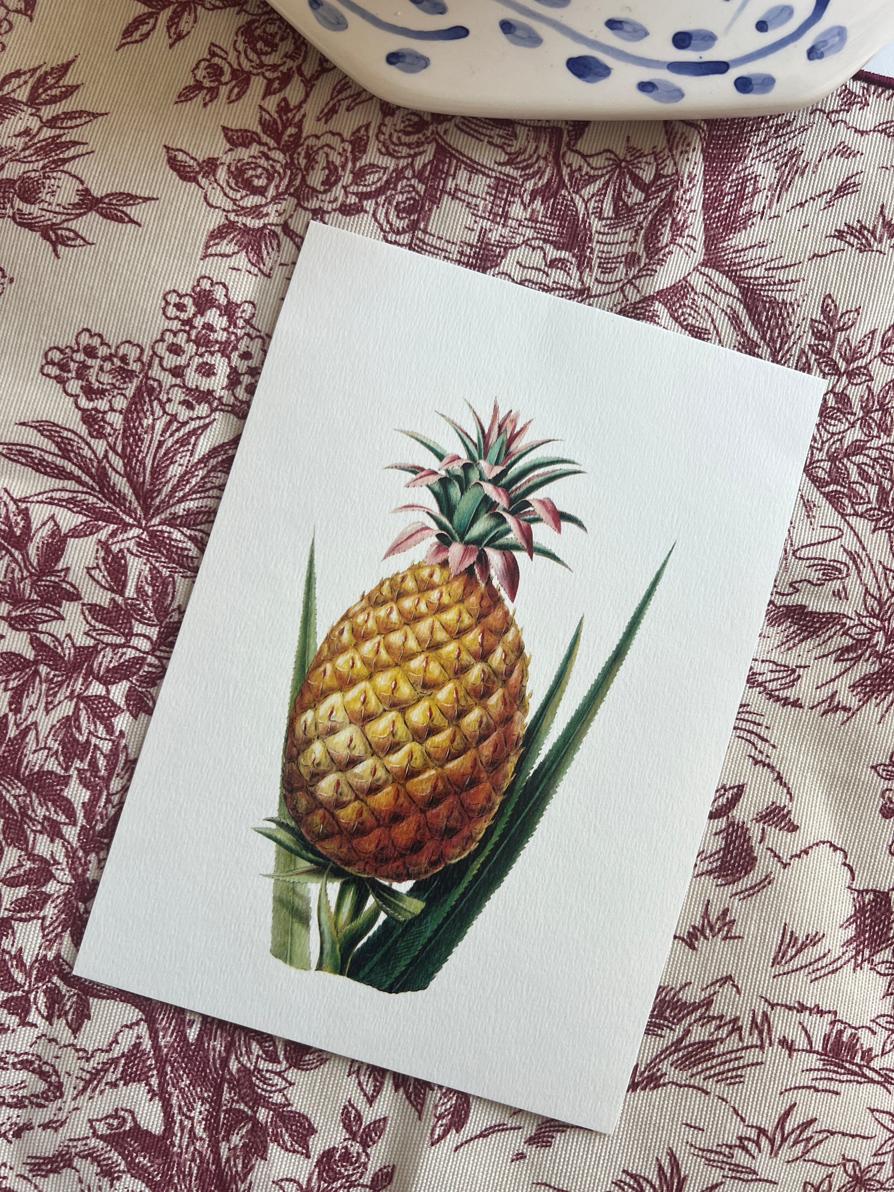 Vintage Botanical Small Prints