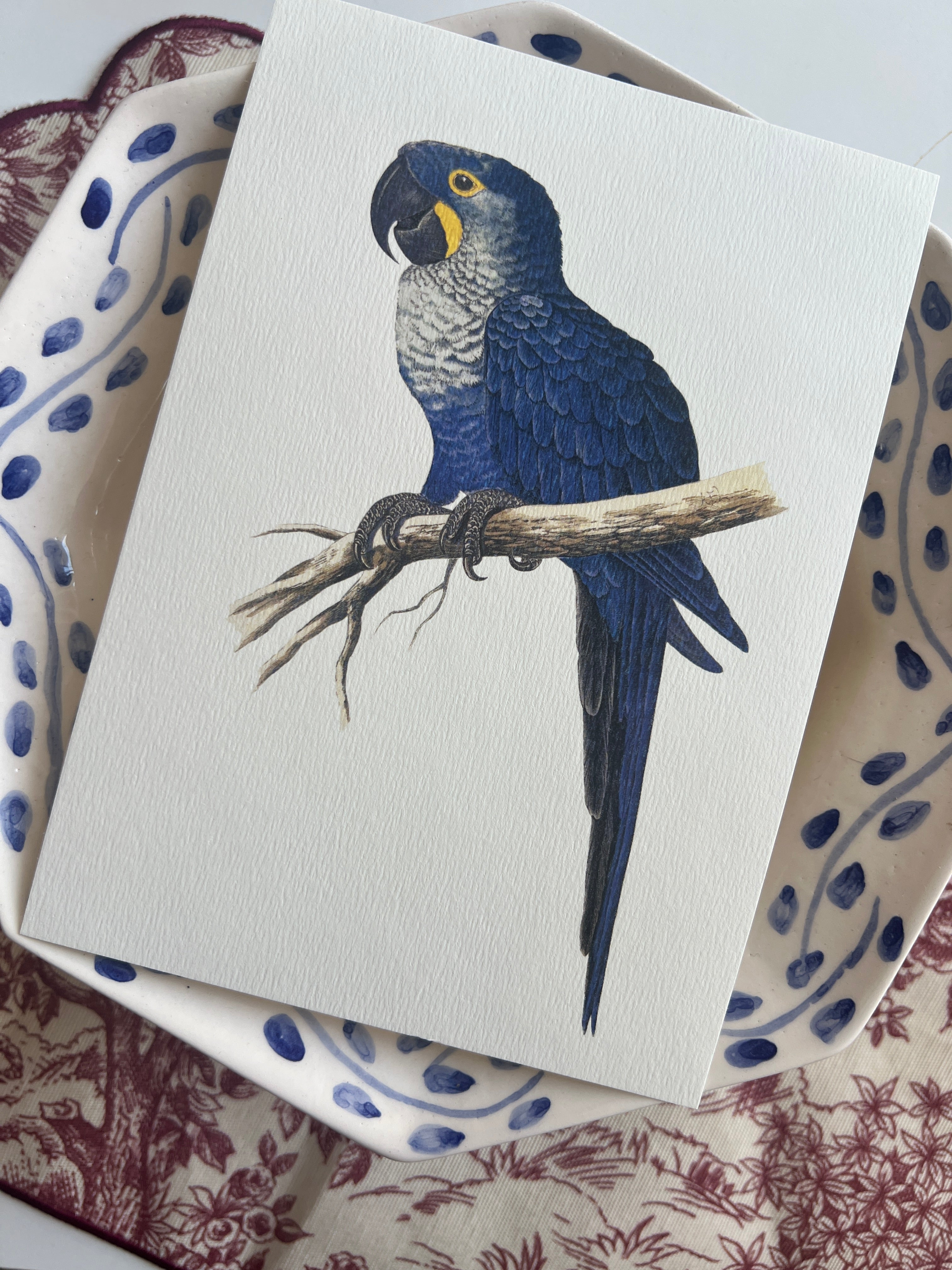 Vintage Botanical Small Prints