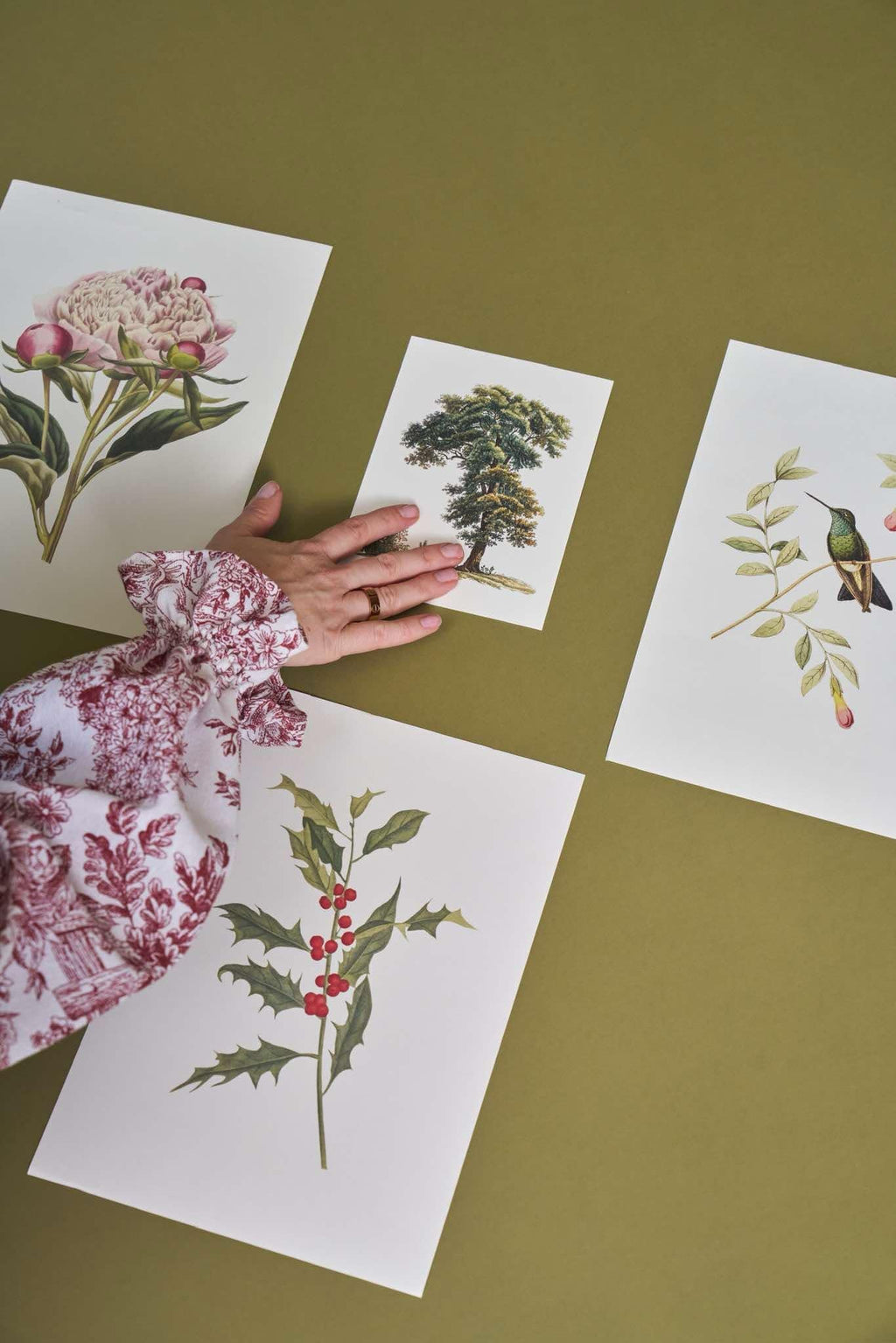 Vintage Botanical Prints A4